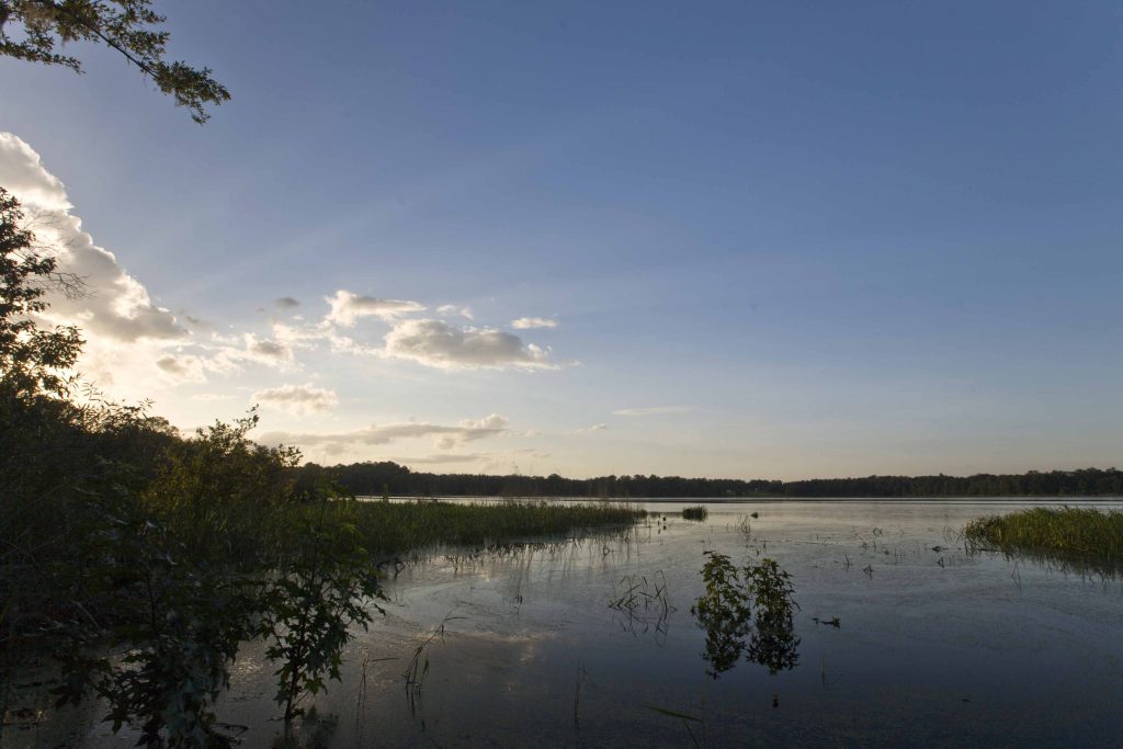 Ordway Swisher Biological Station General Support Fund