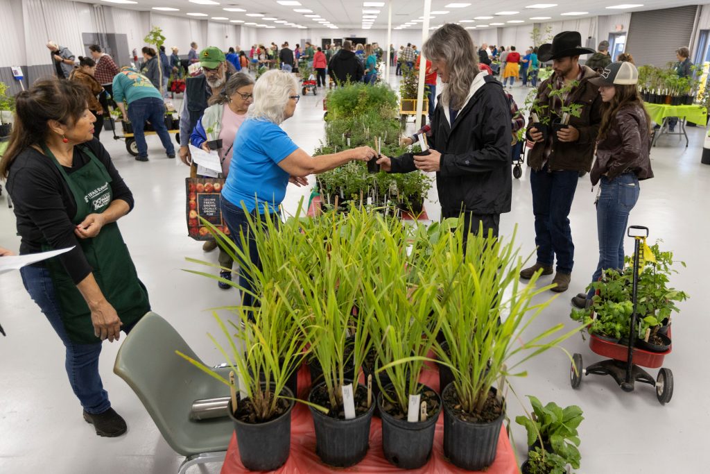 IFAS Extension Volusia County Fund