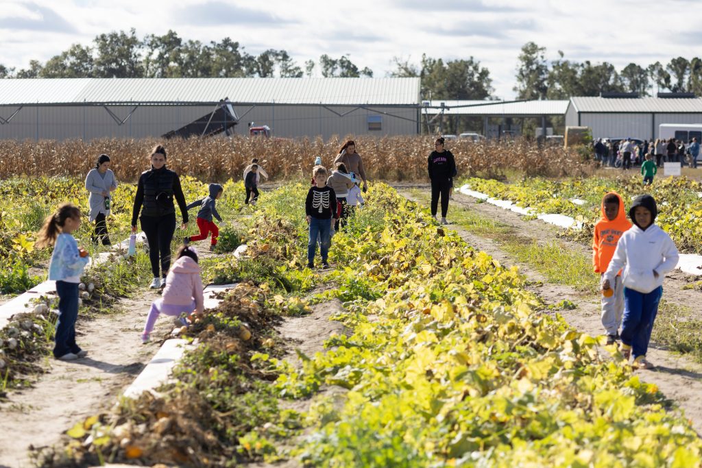 IFAS Extension Suwannee County Fund