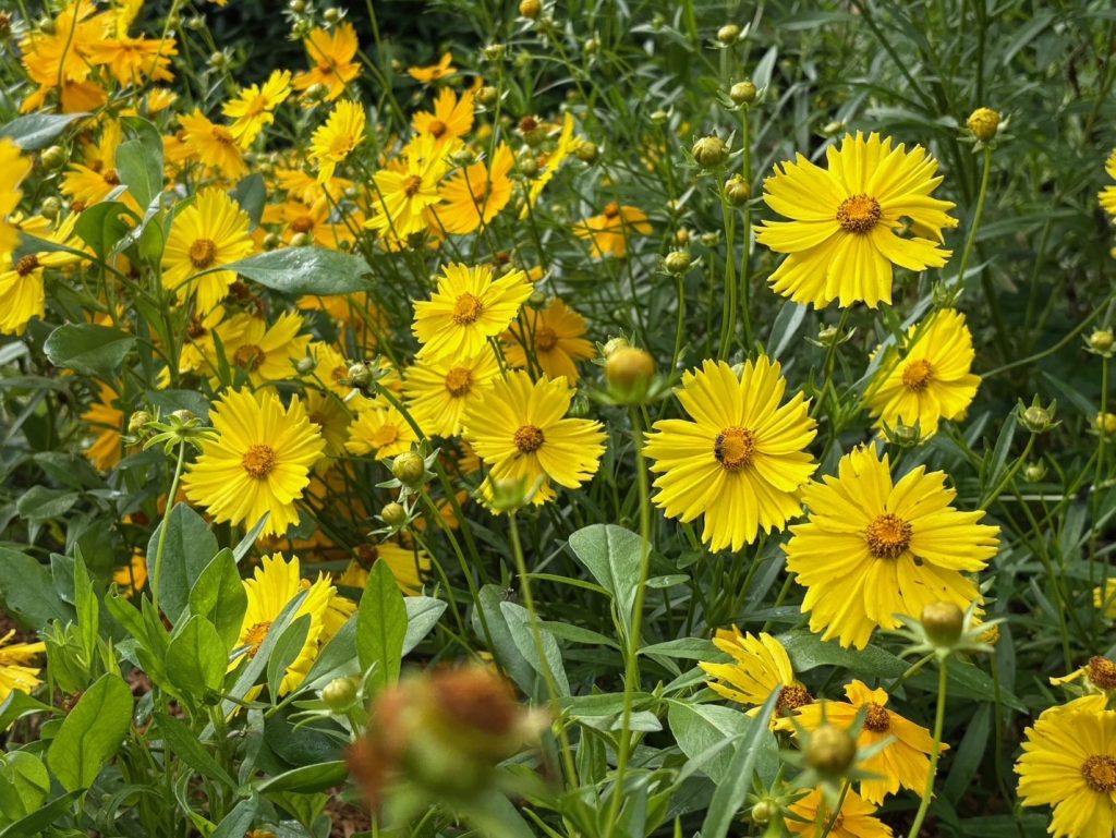 Escambia County Master Gardeners Endowment