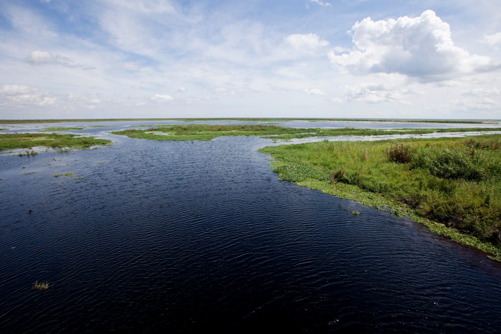 IFAS Extension Okeechobee County Fund