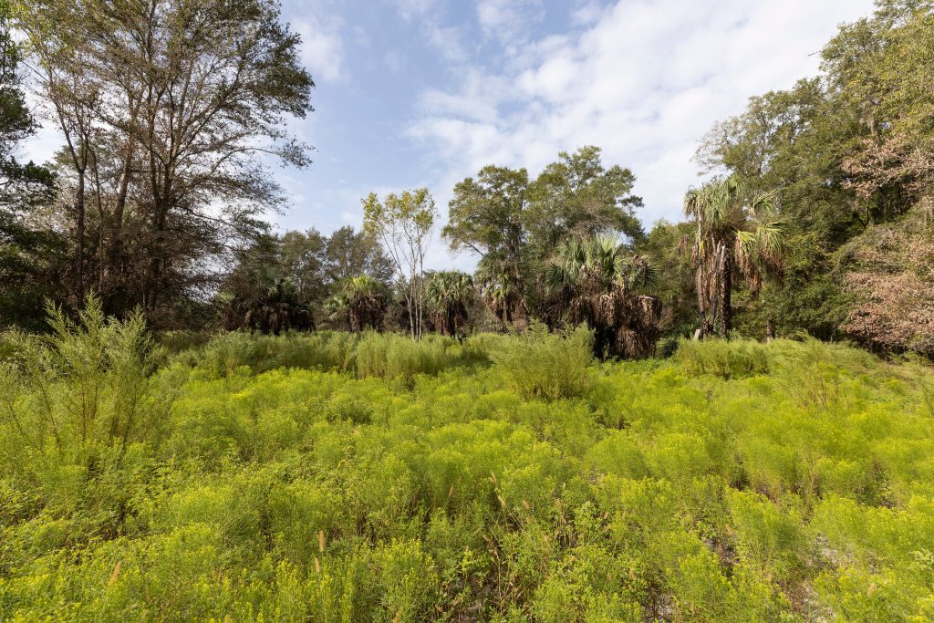 IFAS Extension Sumter County Fund