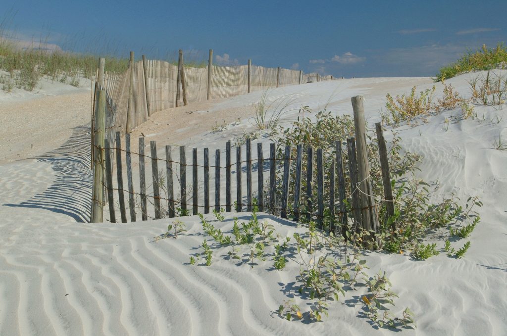 IFAS Extension Flagler County Fund