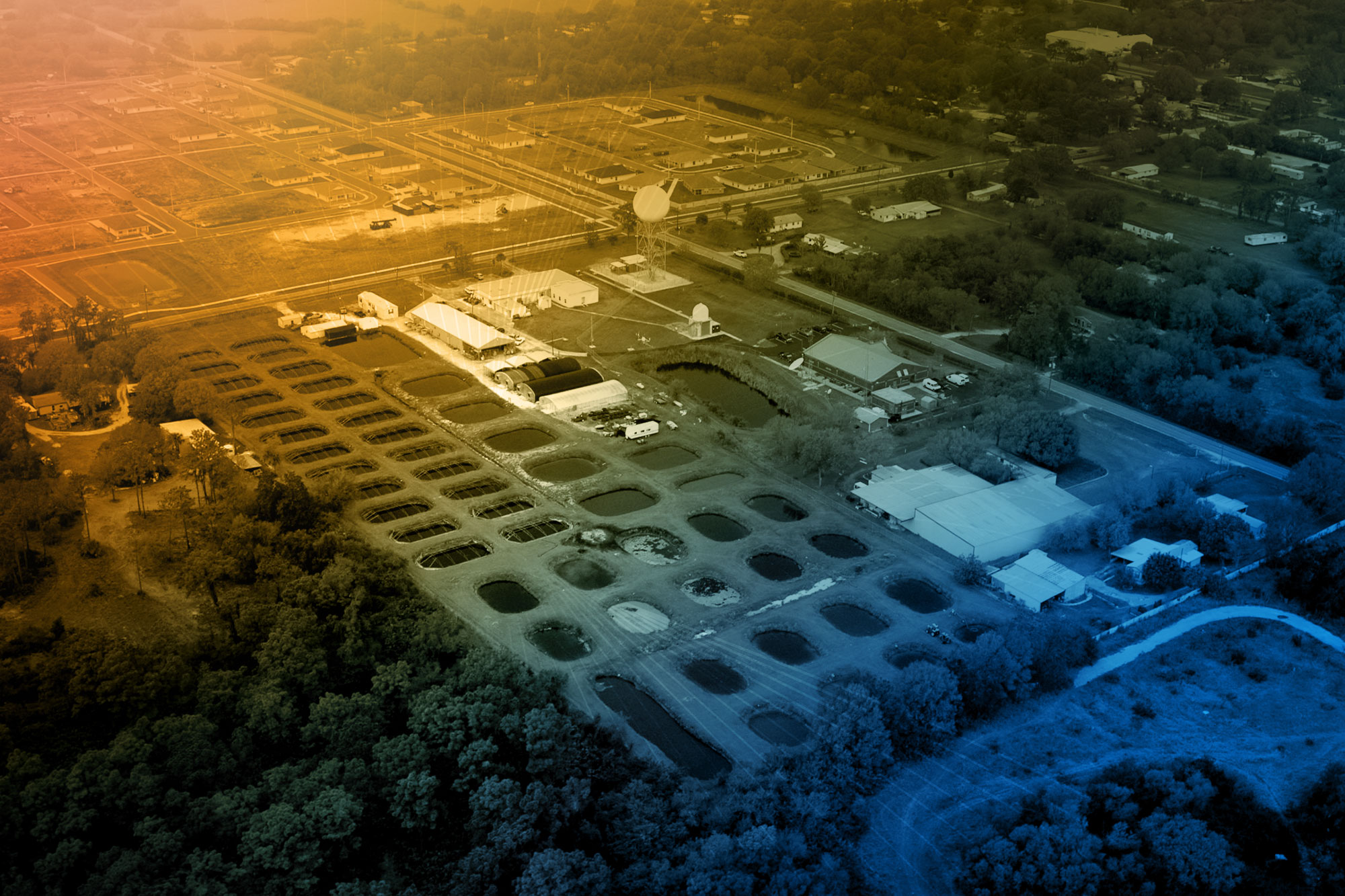 Tropical Aquaculture Lab Fund – University of Florida Advancement