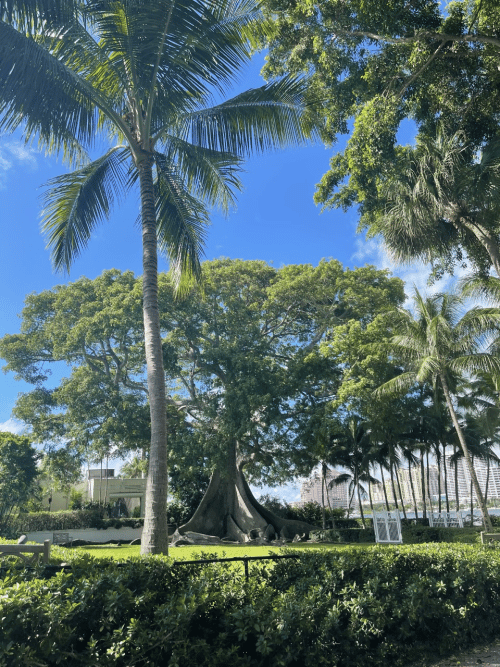 Landscape with palm and banyan trees