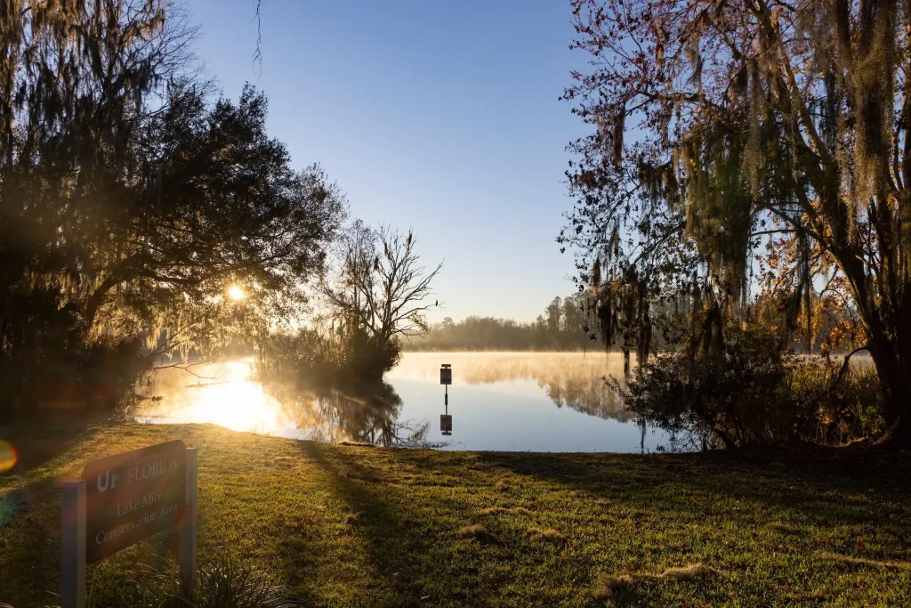 Lake Alice