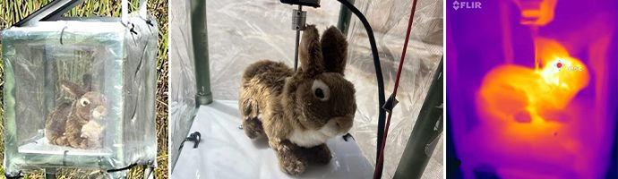 Project Hopper bunny decoy